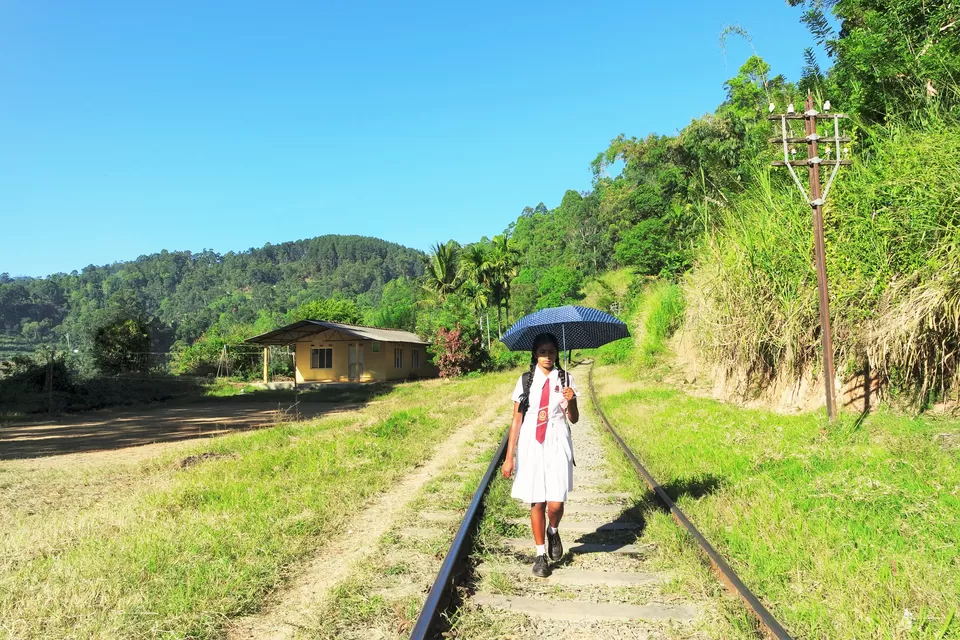 Photo of A glance at Sri Lanka by Wen Tang