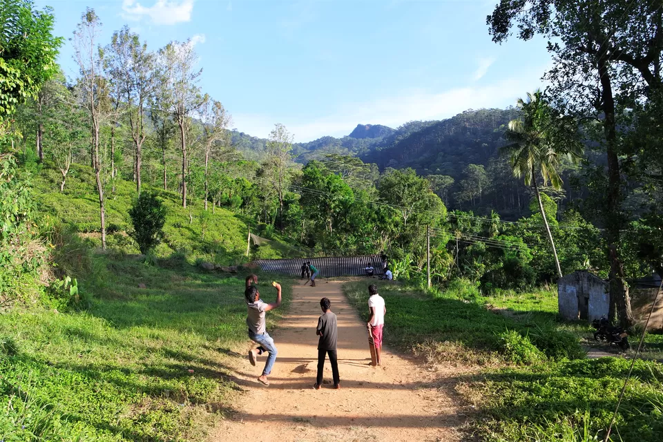 Photo of A glance at Sri Lanka by Wen Tang