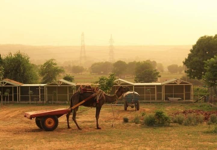 Photo of Best Picnic Spot in Delhi 8/25 by Himanshu Goyal