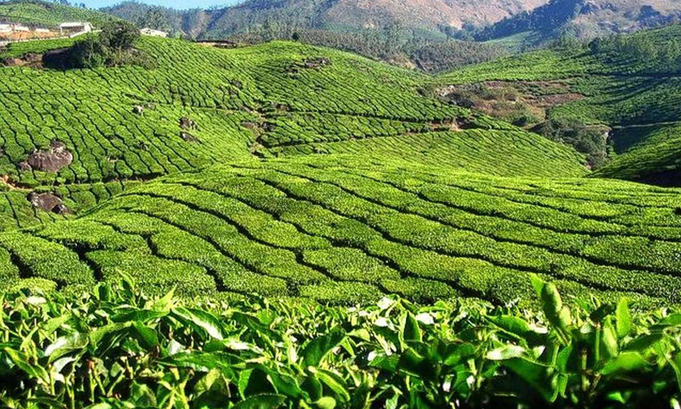 Photo of Top 9 romantic places to visit in Kerala on Valentine’s Day by kribesh