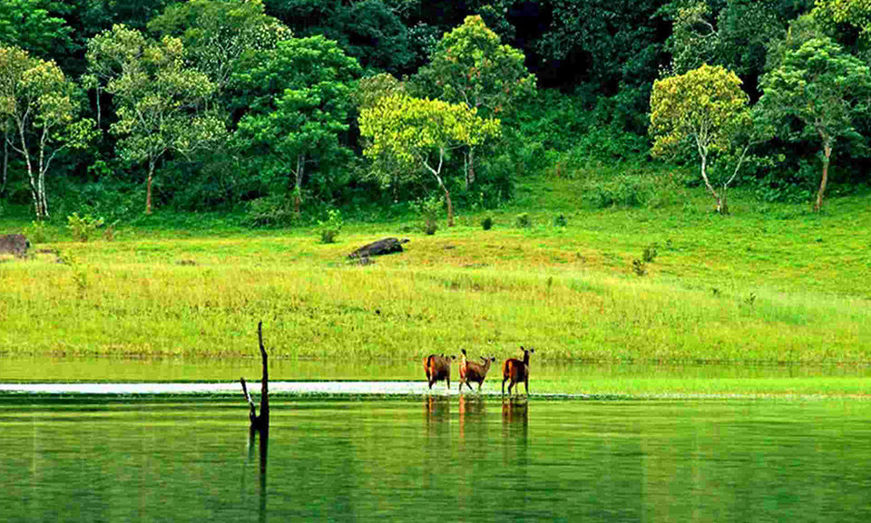 Photo of Top 9 romantic places to visit in Kerala on Valentine’s Day by kribesh