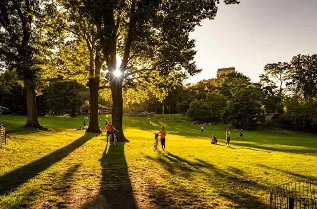 Photo of Central Park, New York, NY, United States by Rohan Sood