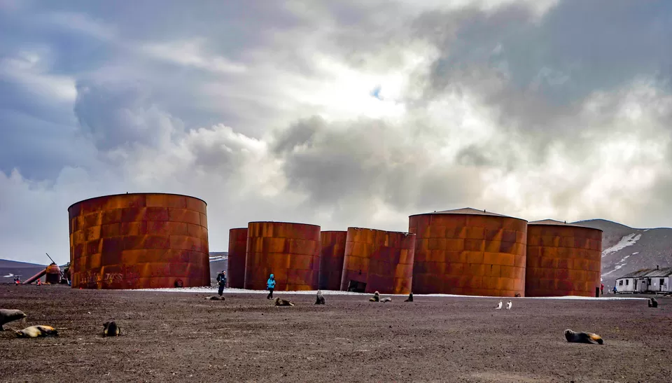 Photo of Deception Island by Rohan Sood