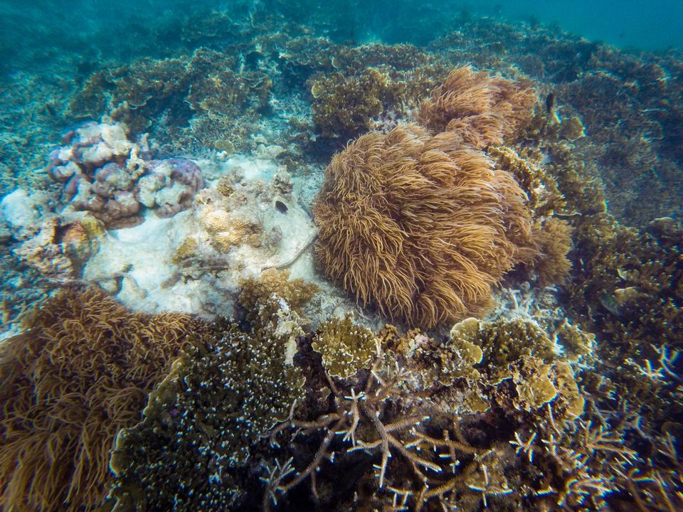 Photo of Sumilon Island, Central Visayas, Philippines by Rohan Sood