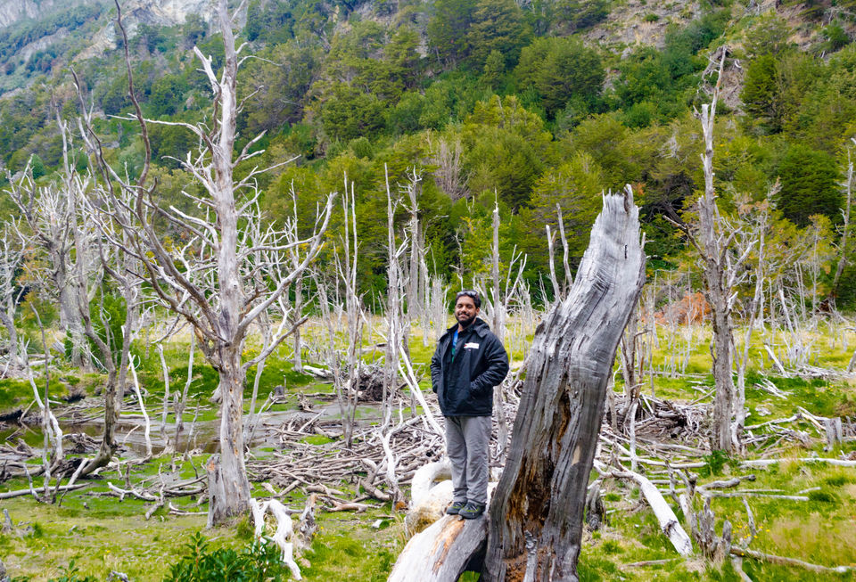 Photo of Tierra del Fuego Province, Argentina by Rohan Sood