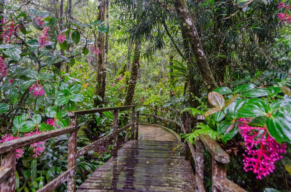 Photo of Things To Do In Malaysia: An Offbeat Guide by Rohan Sood