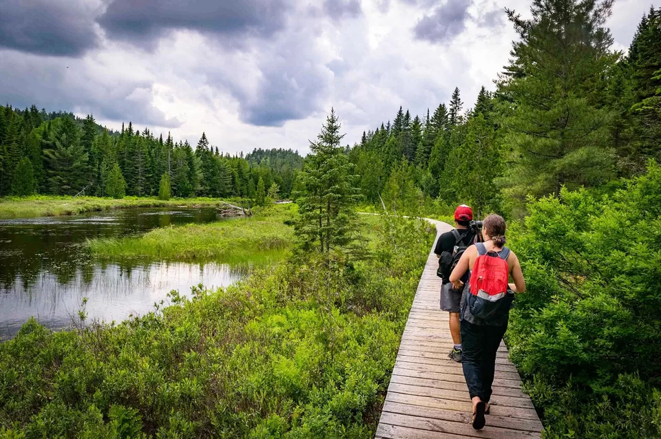 Photo of La Mauricie National Park, Chemin Saint François, Saint-Mathieu-du-Parc, QC, Canada by Rohan Sood