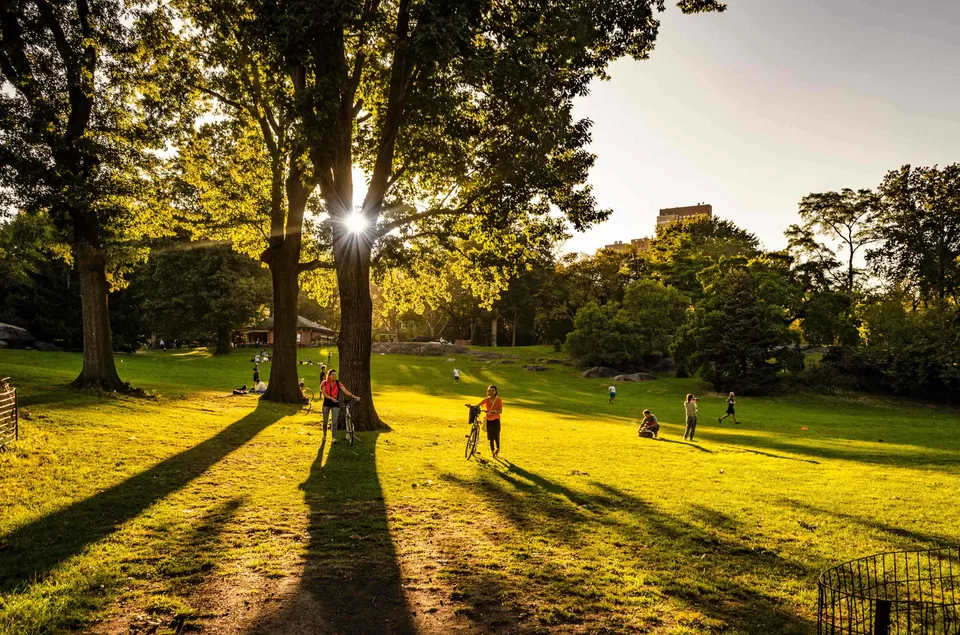 Photo of Central Park, New York, NY, USA by Rohan Sood