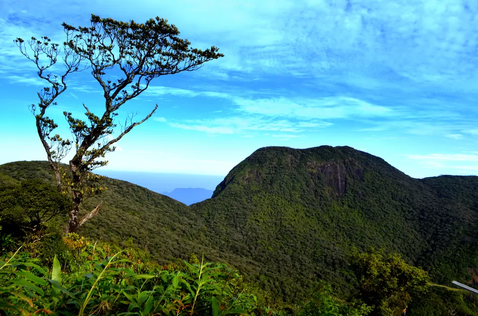 Photo of Sri Lanka by Rohan Sood