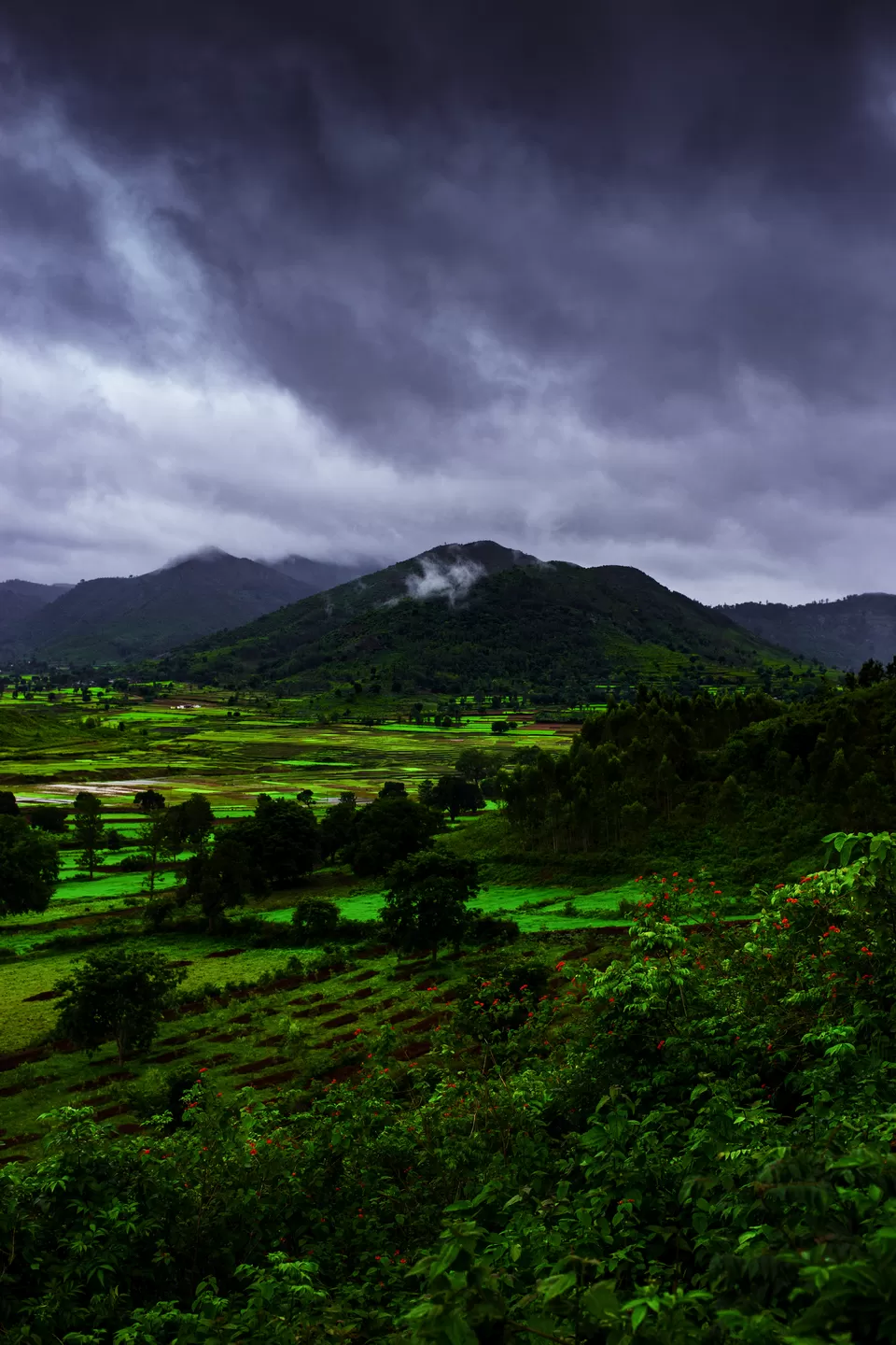 Photo of Araku, Andhra Pradesh, India by Fasi Ziaee