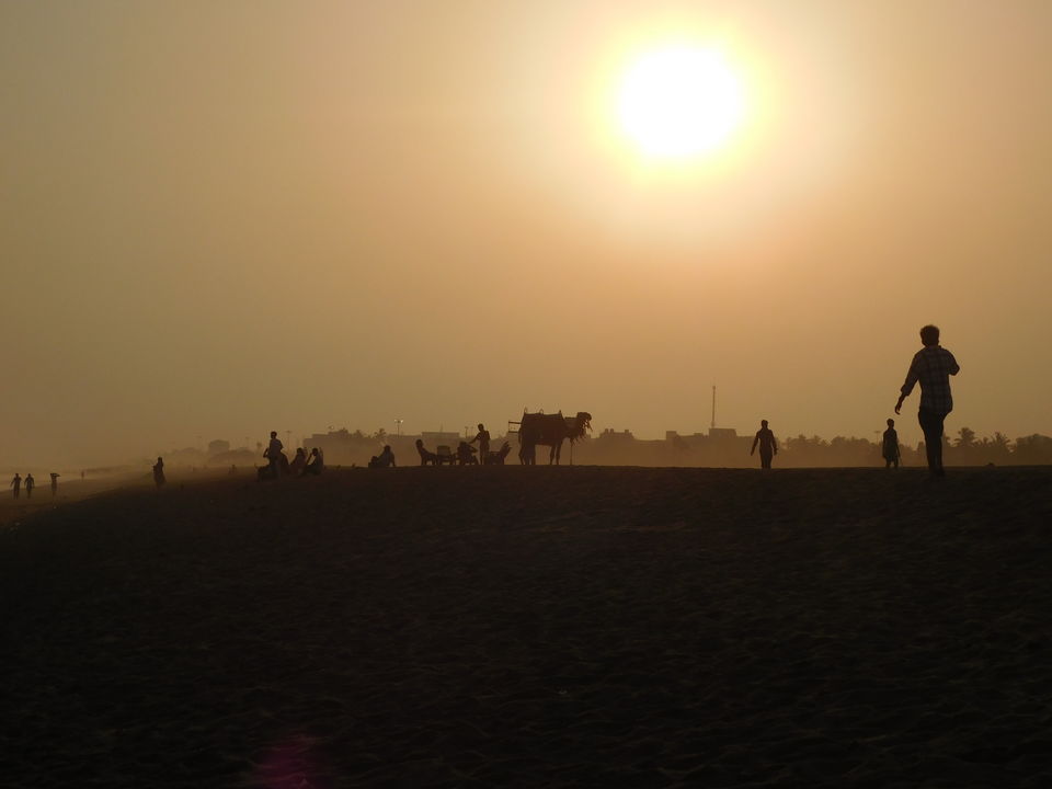 Photo of Dear Ocean by Rijul Bose