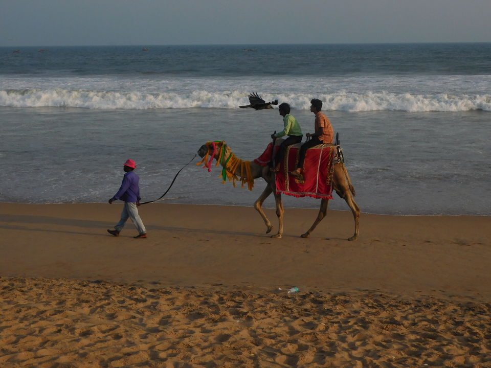 Photo of Puri, Odisha, India by Rijul Bose