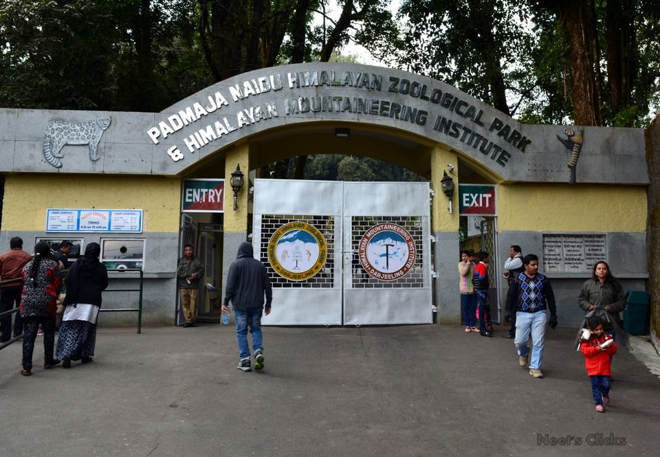 Photo of Darjeeling, West Bengal, India by navneet jadhav
