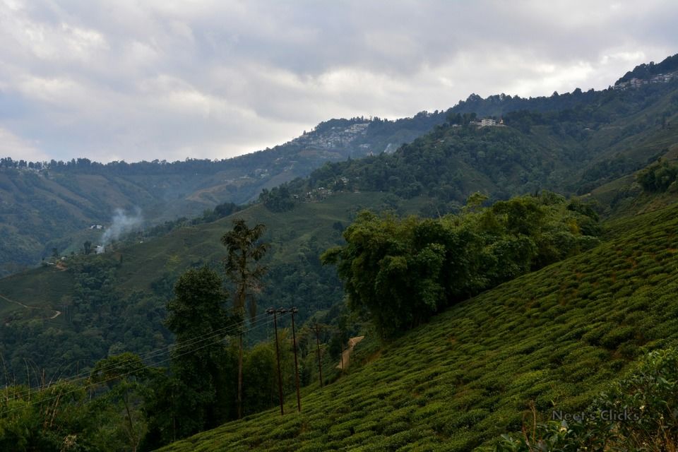 Photo of Darjeeling, West Bengal, India by navneet jadhav
