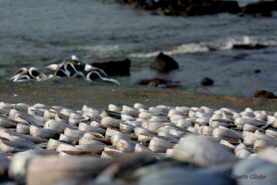 Photo of Harnai Beach, Ratnagiri, Maharashtra, India by navneet jadhav