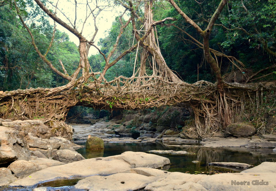 Photo of Mawlynnong, Meghalaya, India by navneet jadhav