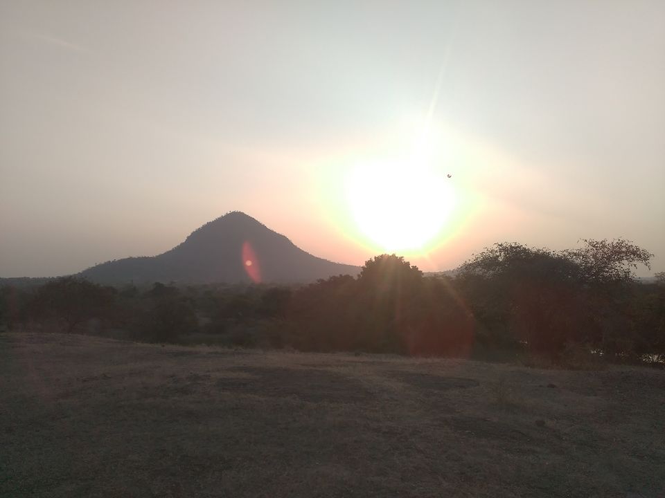 Photo of Wonderful Safari at the Laling Forest Area by Amol Sonawane