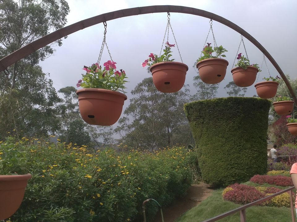 Photo of Rose Garden, Munnar, Kerala, India by Amol Sonawane