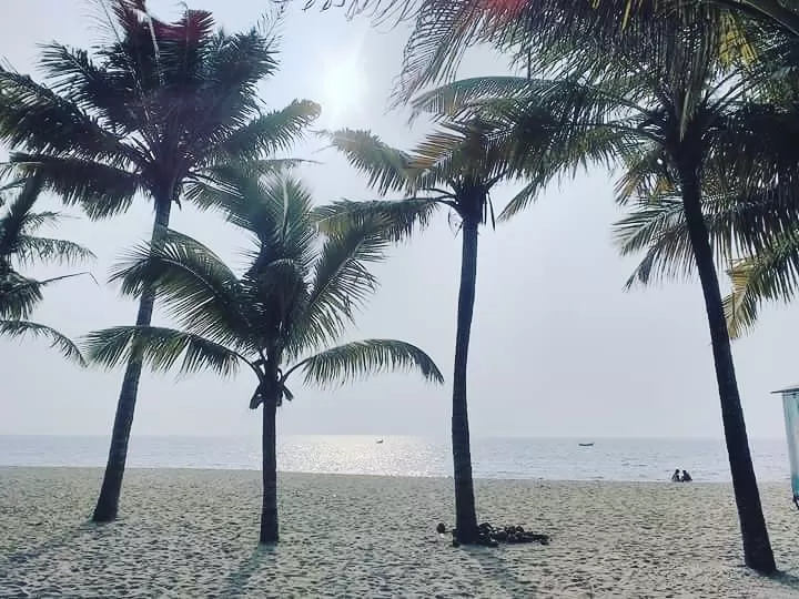 Photo of Marari Beach, Alappuzha, Kerala, India by Amol Sonawane