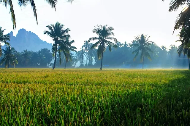 Photo of Hampi, Karnataka, India by Amol Sonawane
