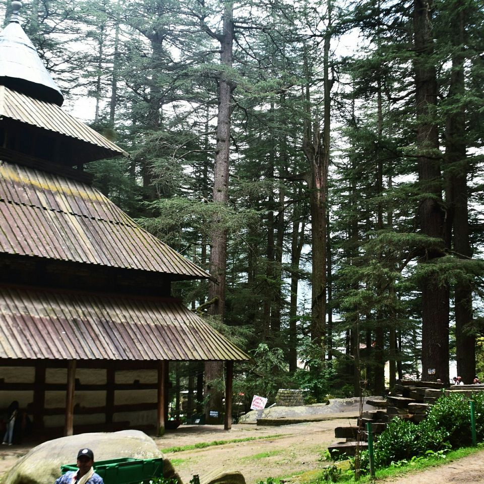 Photo of Manali, Himachal Pradesh, India by Violina Borah