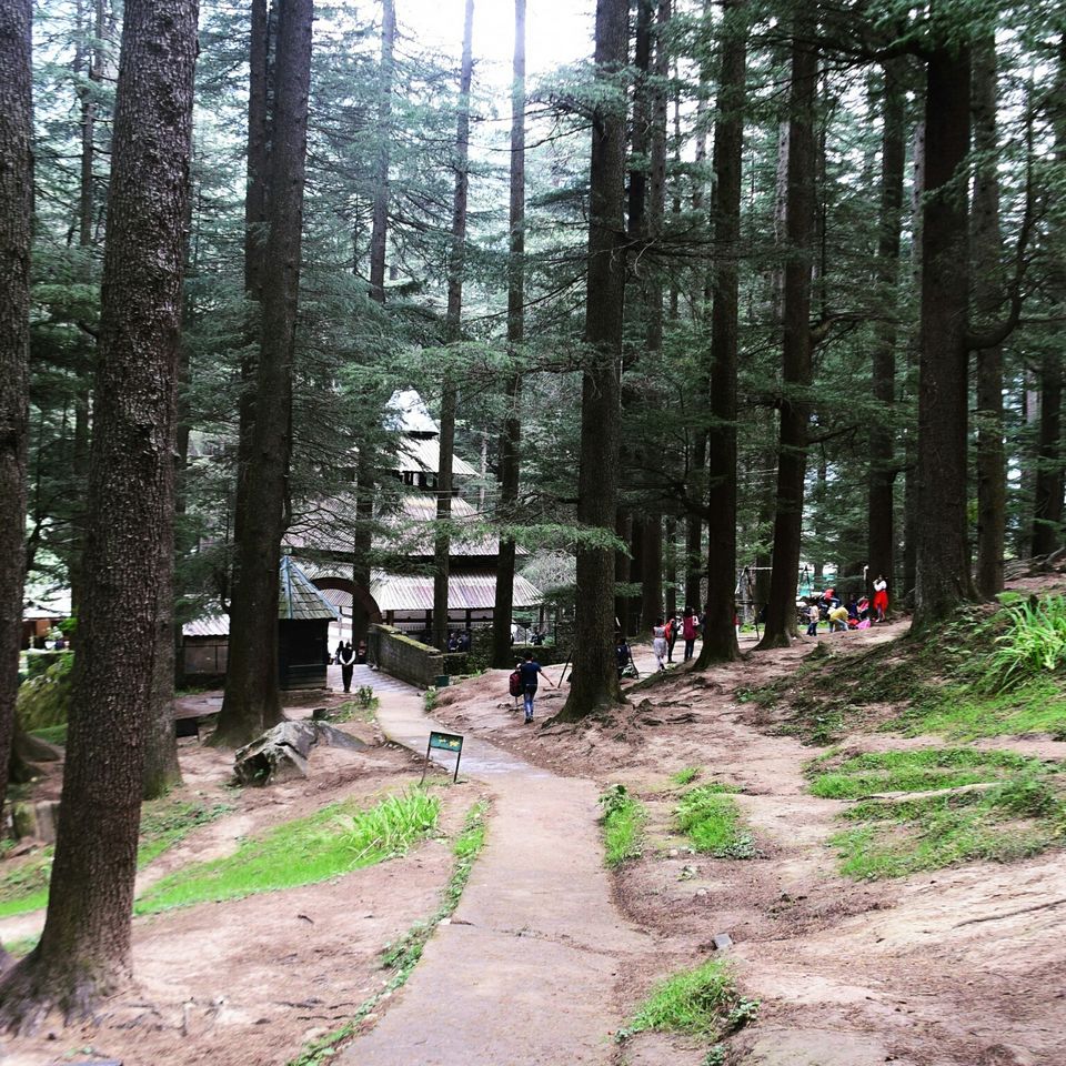 Photo of Manali, Himachal Pradesh, India by Violina Borah