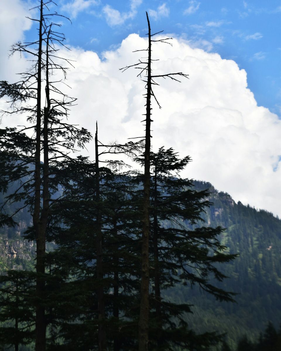 Photo of A Trip to Himachal Pradesh by Violina Borah