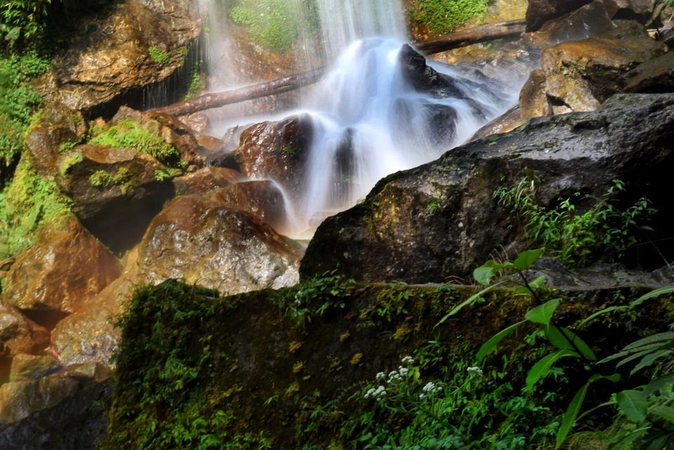 Photo of 7 days in Sikkim 3/20 by Violina Borah