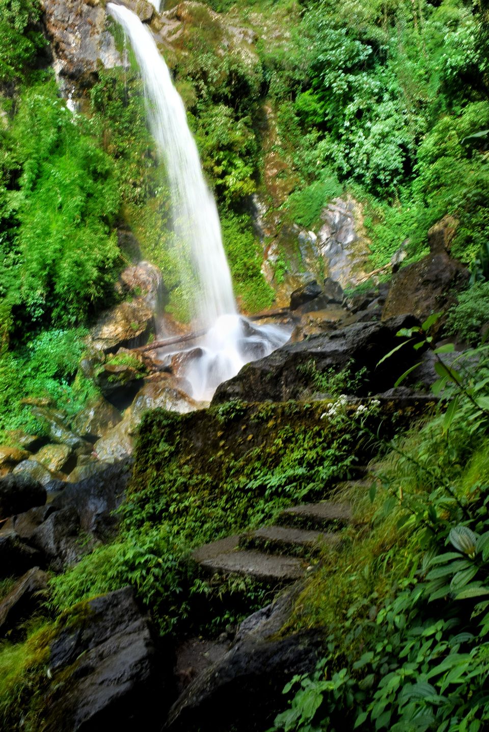 Photo of 7 days in Sikkim 4/20 by Violina Borah