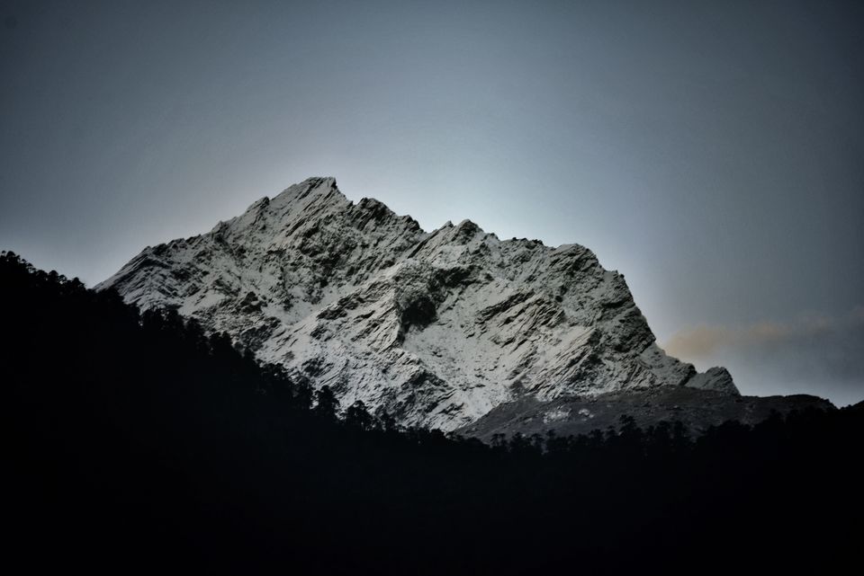 Photo of 7 days in Sikkim 8/20 by Violina Borah