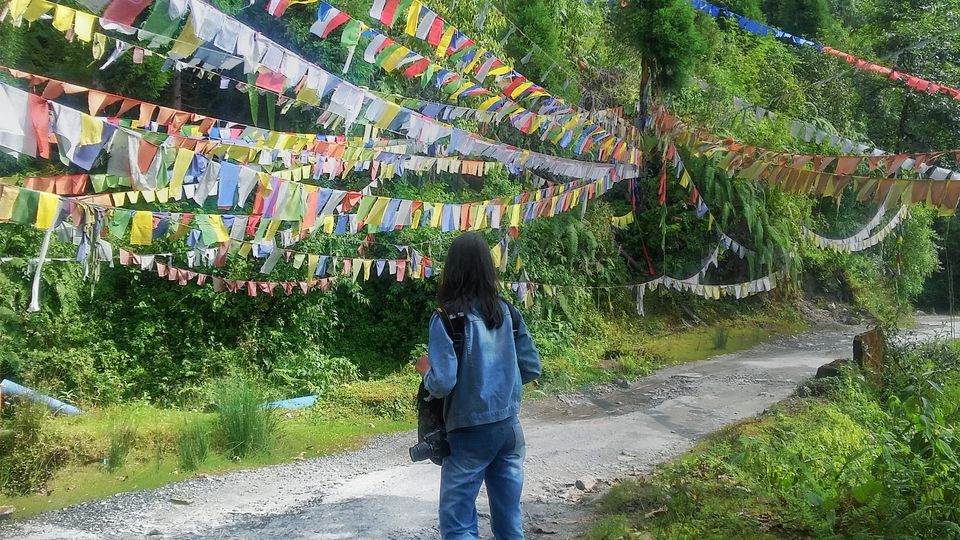 Photo of 7 days in Sikkim 19/20 by Violina Borah