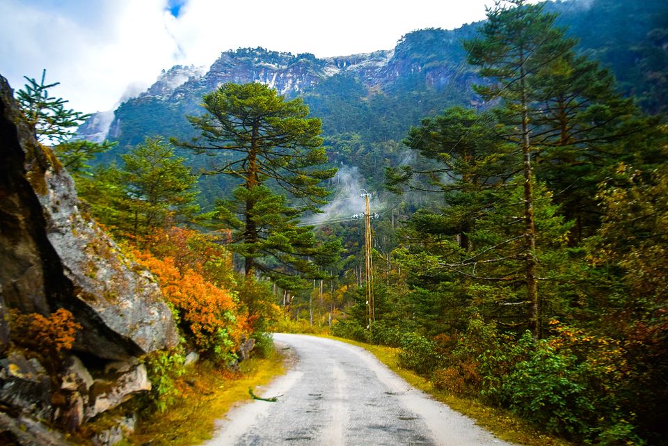 Photo of 7 days in Sikkim 12/20 by Violina Borah