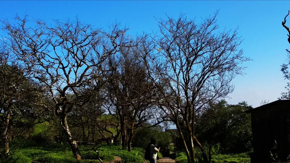 Photo of Sinhagad Fort, Thoptewadi, Maharashtra, India by Mahesh Maddala