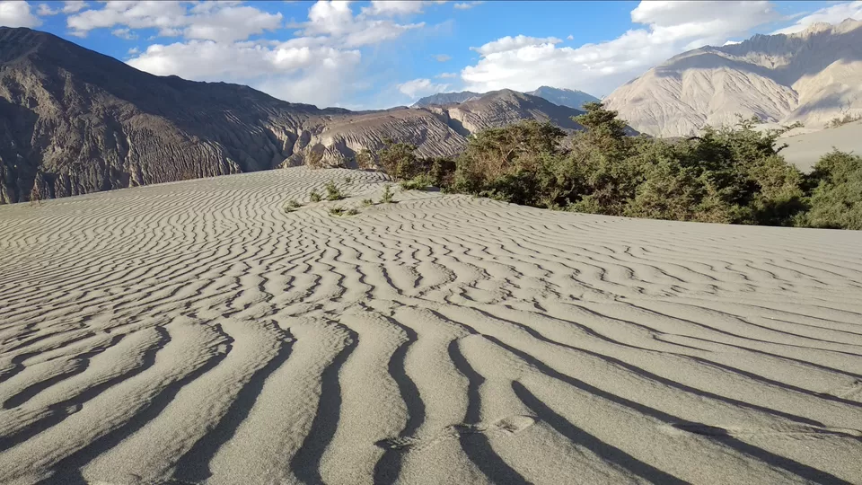 Photo of Hunder Sand Dunes, Hunder by Mahesh Maddala