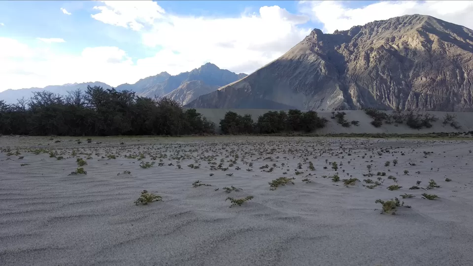 Photo of Hunder Sand Dunes, Hunder by Mahesh Maddala