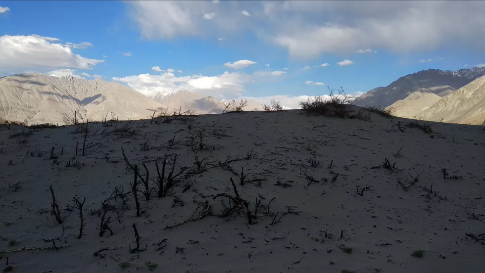 Photo of Hunder Sand Dunes, Hunder by Mahesh Maddala