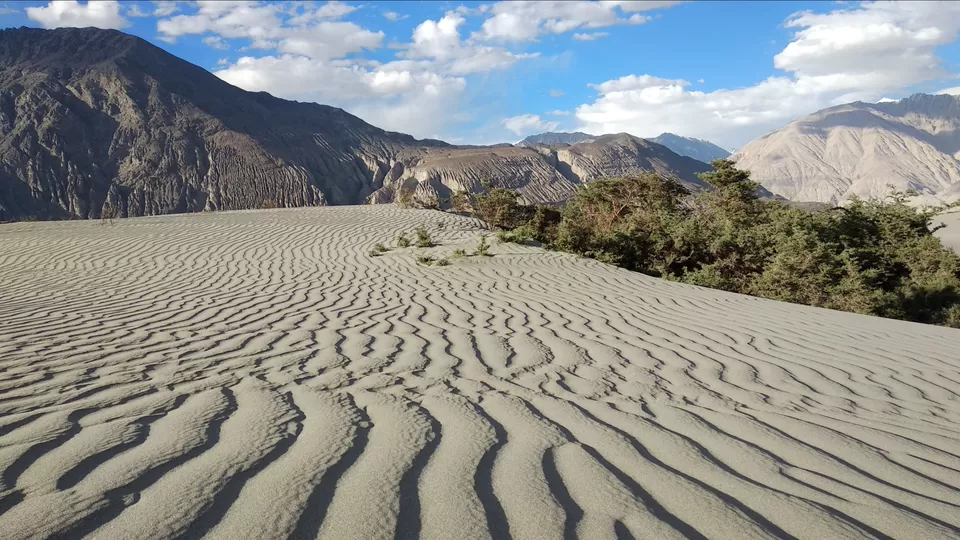 Photo of Hunder Sand Dunes, Hunder by Mahesh Maddala