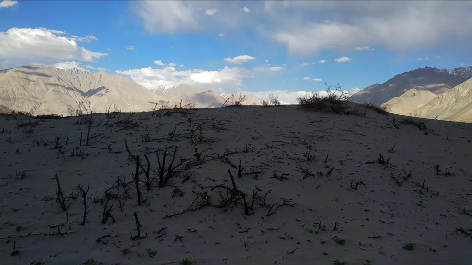 Photo of Hunder Sand Dunes, Hunder by Mahesh Maddala