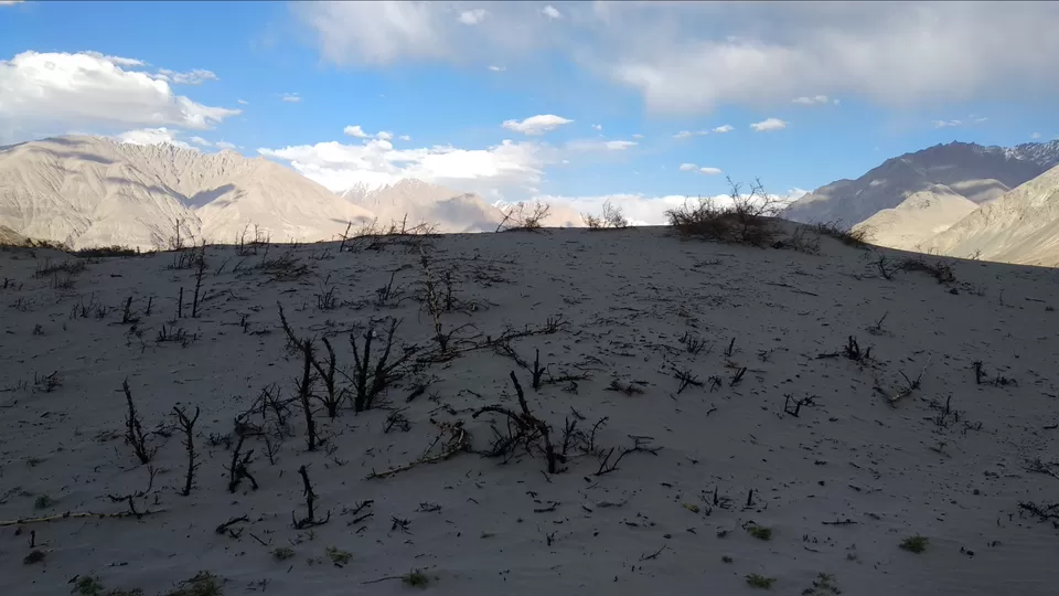 Photo of Hunder Sand Dunes, Hunder by Mahesh Maddala