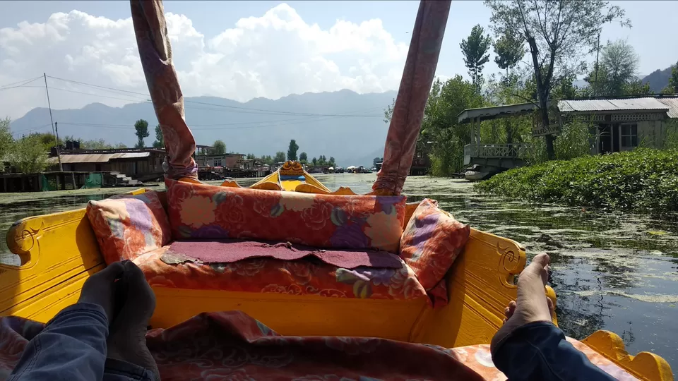 Photo of Dal Lake, Srinagar by Mahesh Maddala