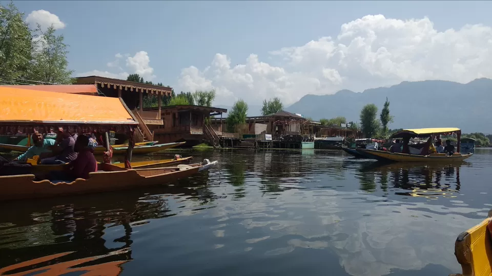 Photo of Dal Lake, Srinagar by Mahesh Maddala