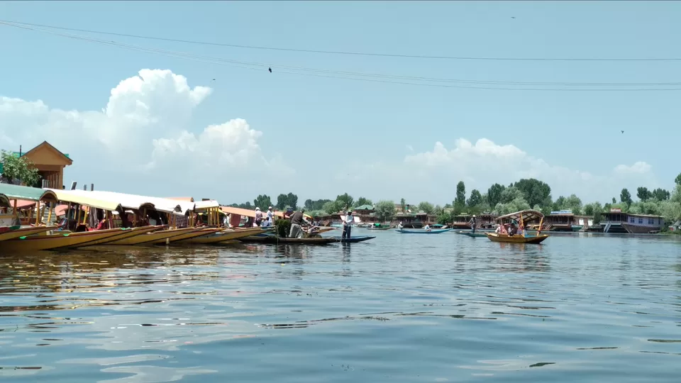 Photo of Dal Lake, Srinagar by Mahesh Maddala