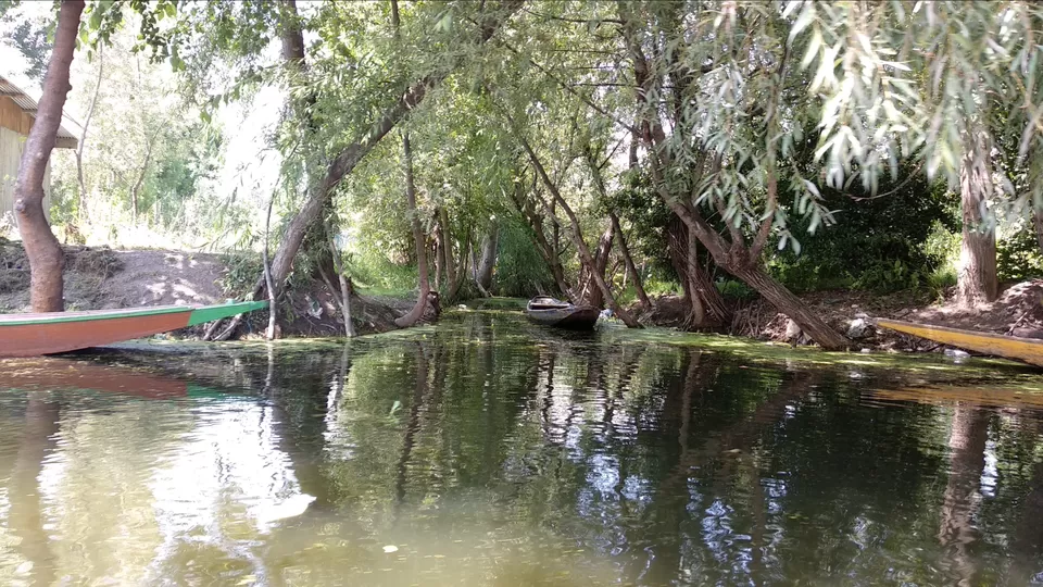 Photo of Dal Lake, Srinagar by Mahesh Maddala