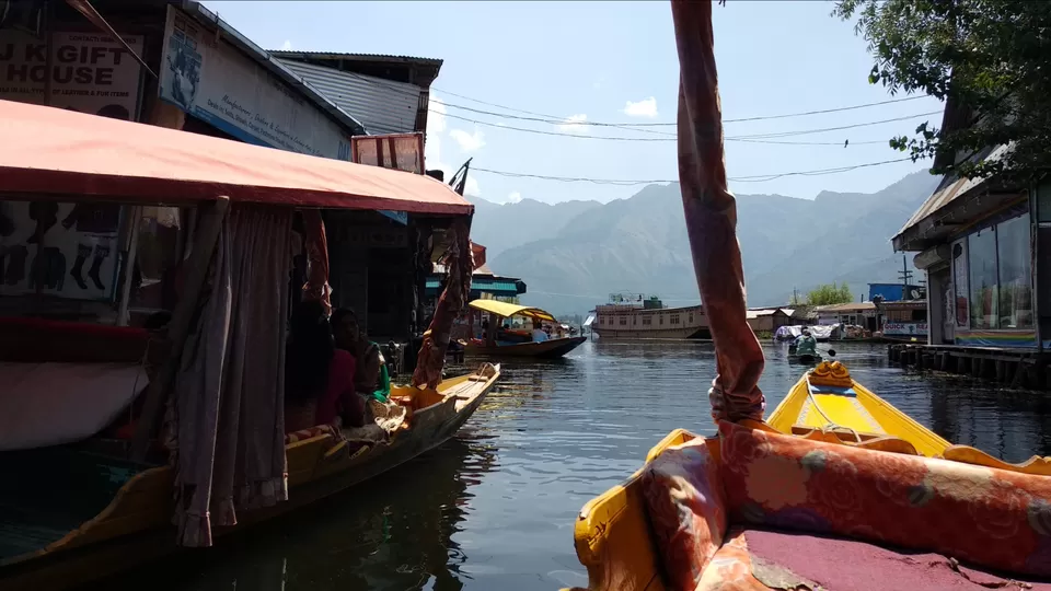 Photo of Dal Lake, Srinagar by Mahesh Maddala