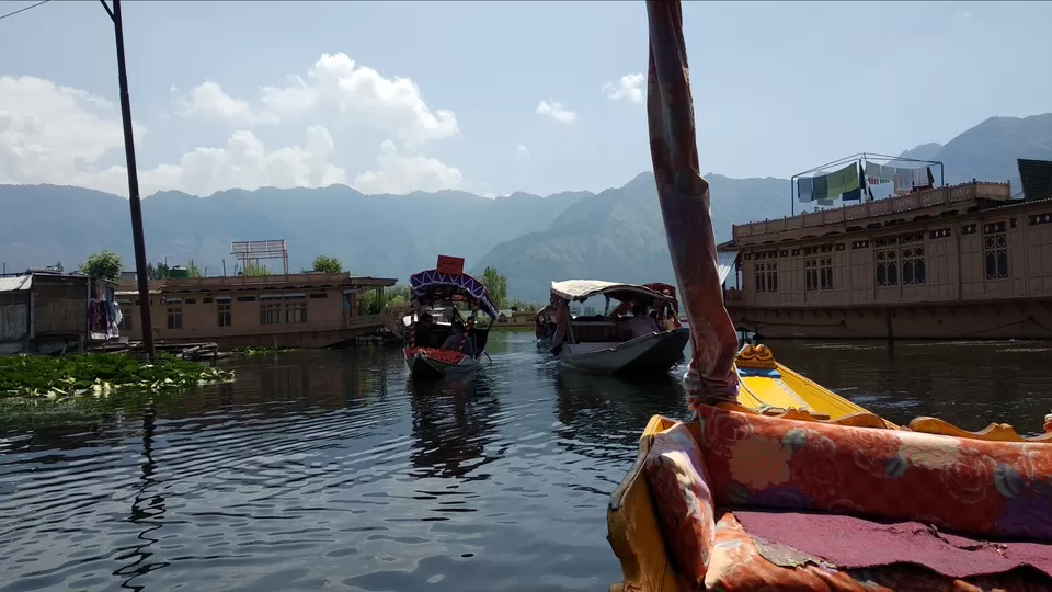 Photo of Dal Lake, Srinagar by Mahesh Maddala