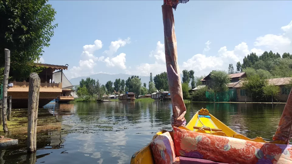 Photo of Dal Lake, Srinagar by Mahesh Maddala