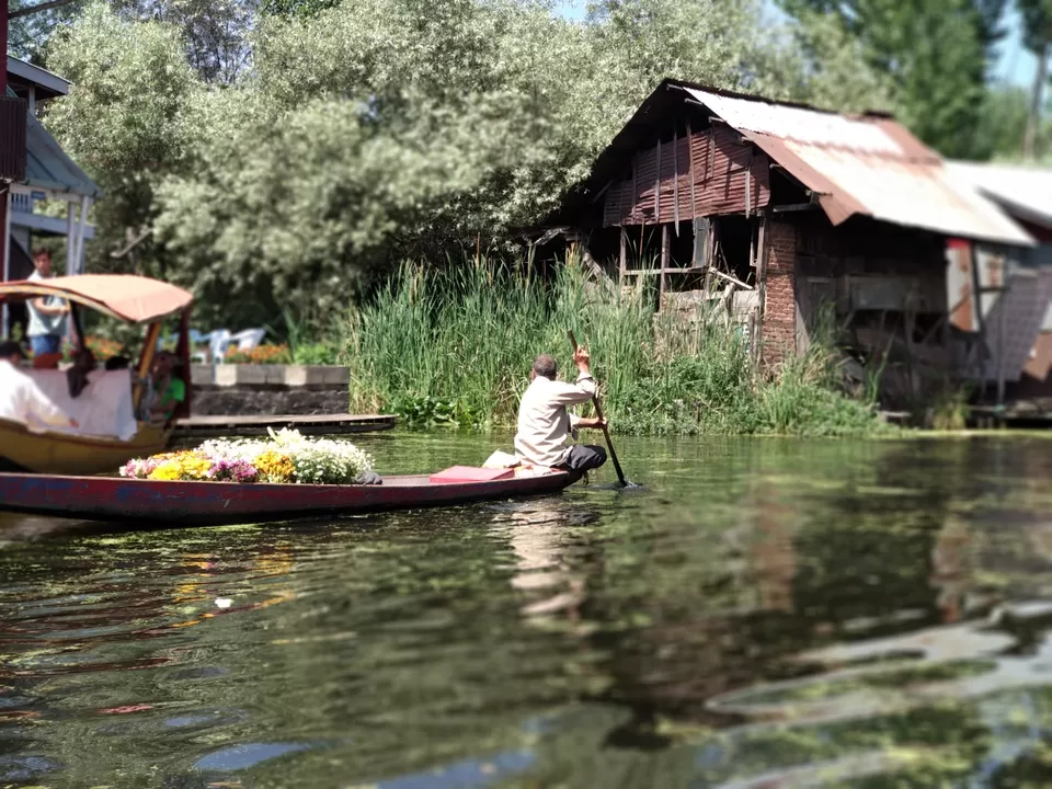 Photo of Dal Lake, Srinagar by Mahesh Maddala