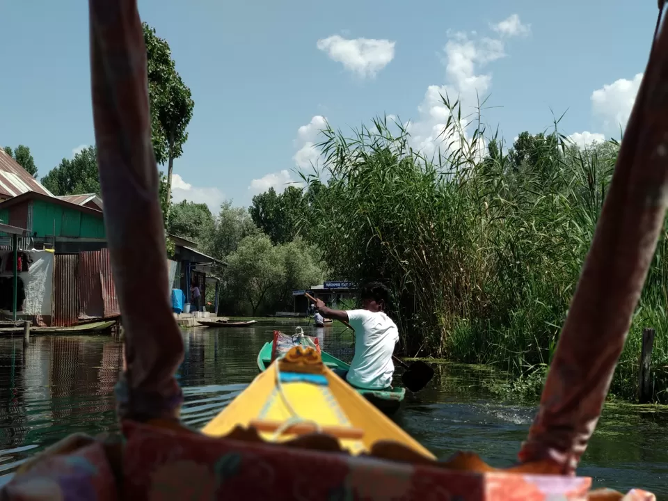 Photo of Dal Lake, Srinagar by Mahesh Maddala
