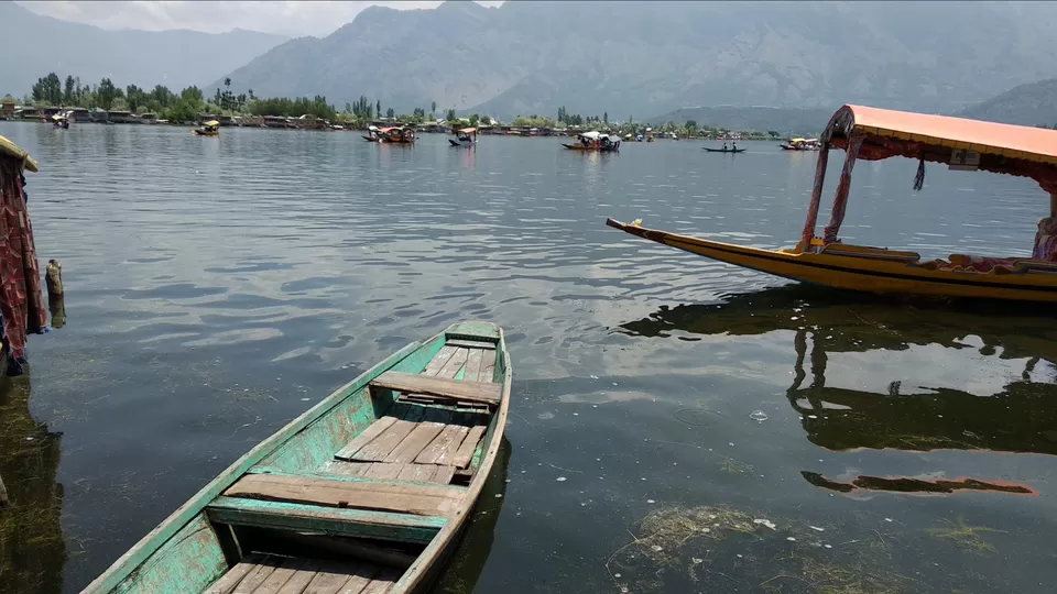 Photo of Dal Lake, Srinagar by Mahesh Maddala