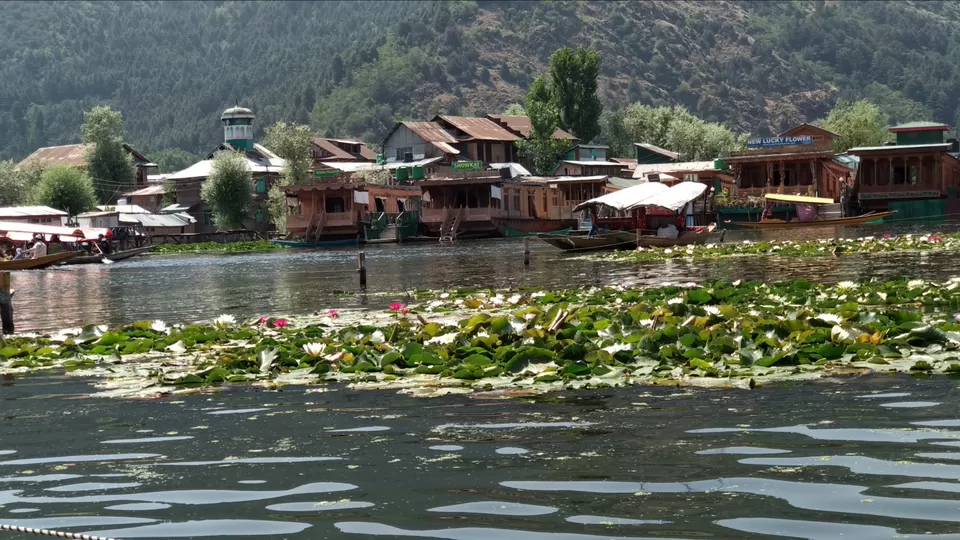 Photo of Dal Lake, Srinagar by Mahesh Maddala